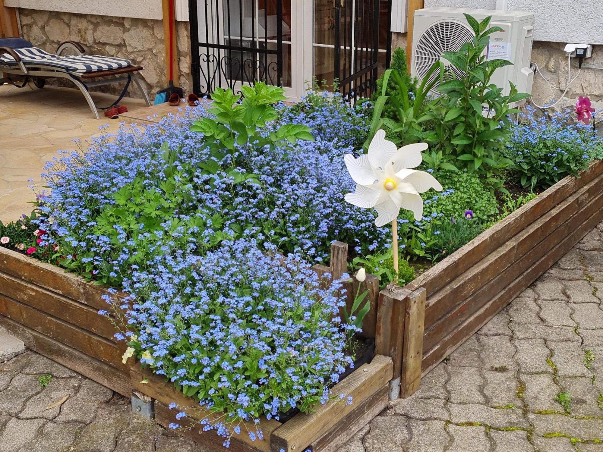 Ginger House Apartment Keszthely Kültér fotó